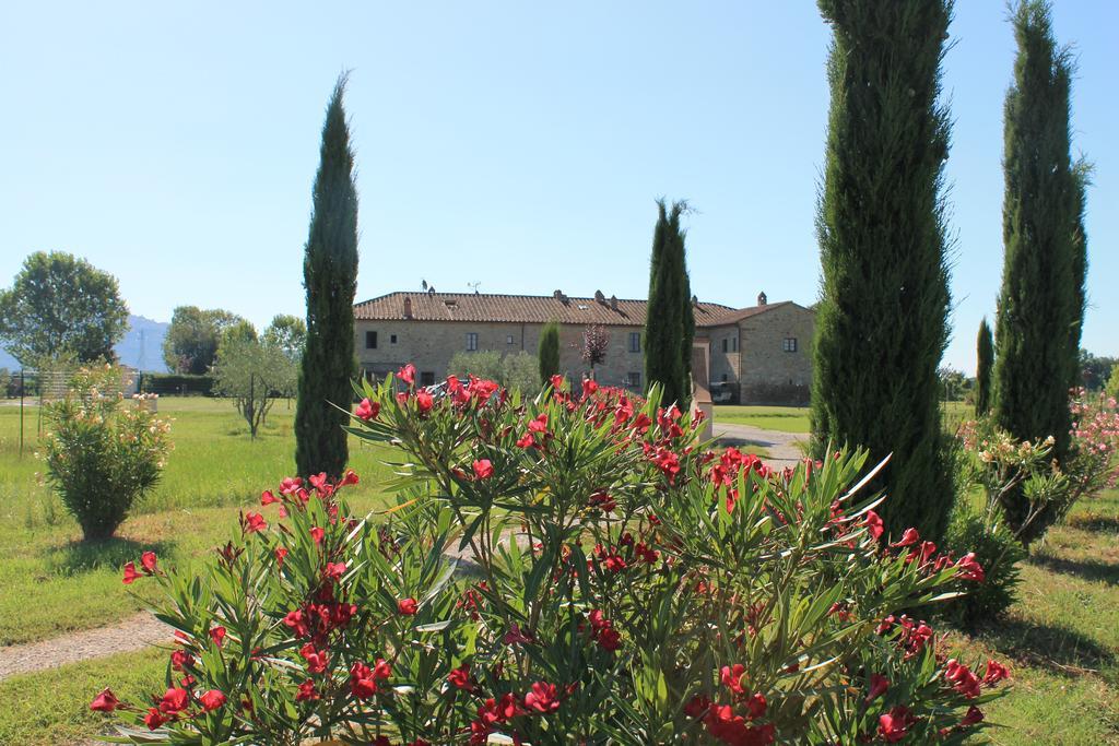 Il Grifone A Cortona Residence Екстер'єр фото