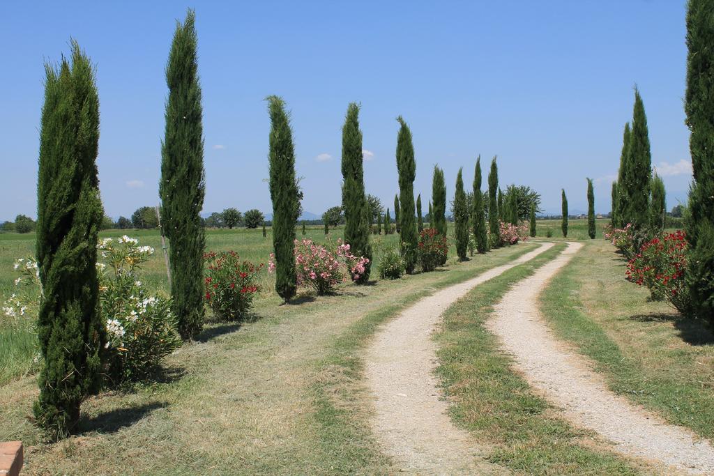 Il Grifone A Cortona Residence Екстер'єр фото