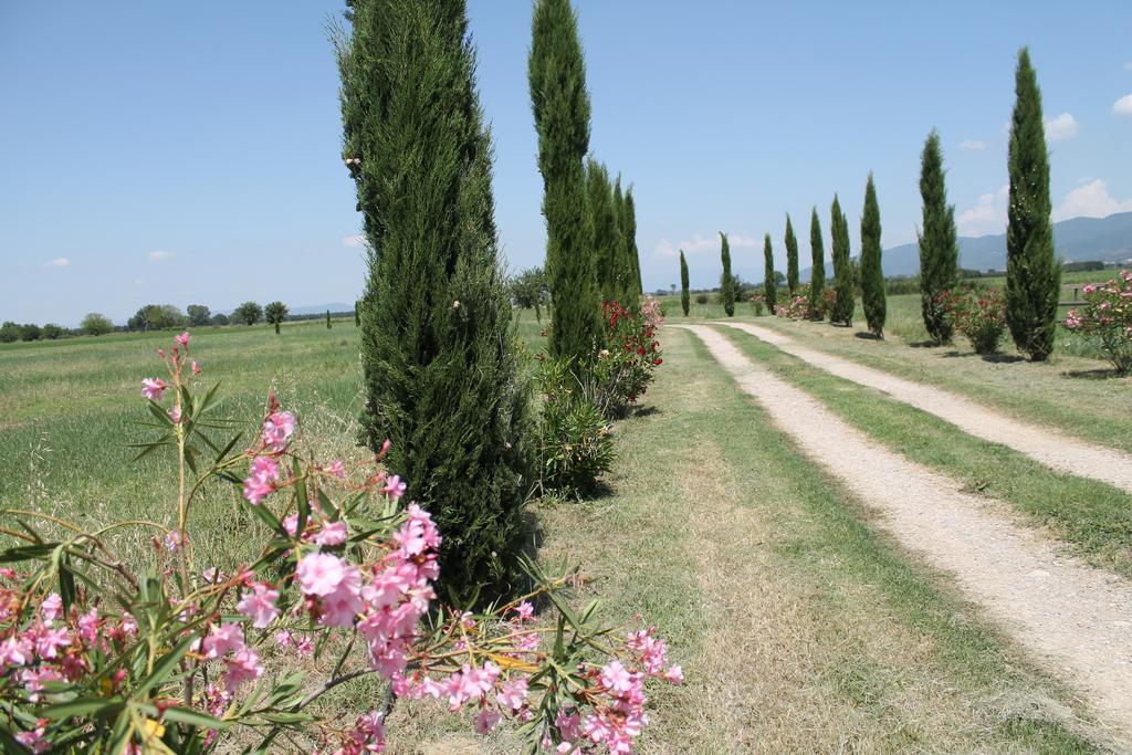Il Grifone A Cortona Residence Екстер'єр фото